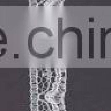 New Design Guangzhou Lace