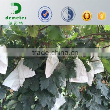 White Fruit Cultivating Paper Bag