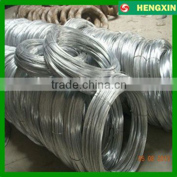 BWG18 Electro galvanized iron wire Galvanized wire