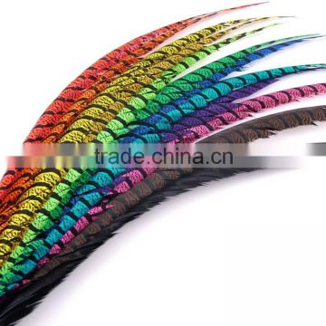 Wholesale Carnival Long Dyed Zebra Pheasant Feathers