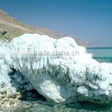 Dead Sea Healing Mud photo-2