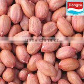 hot sale peanut kernels