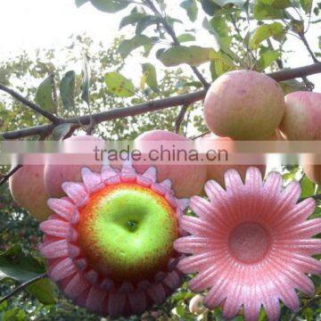 Beautiful PE foam round fruit package