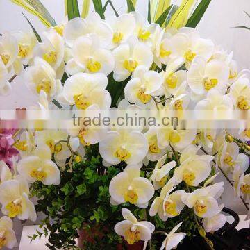 Artificial white singapore moth orchid arrangements