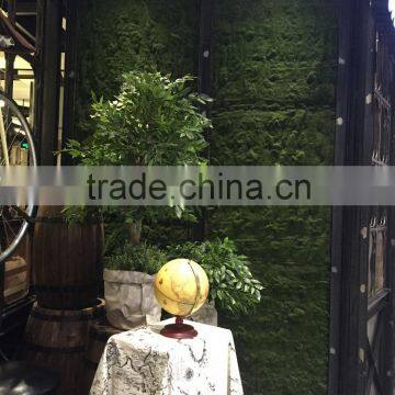 Indoor Wall Decoration Plastic Moss Grass