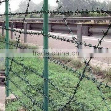 Hot Dipped Galvanized and Powder Coating Barbed Wire Hot Sale photo-3