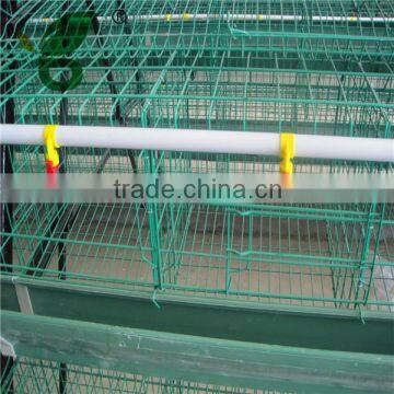 automatic poultry drink equipment for chicken