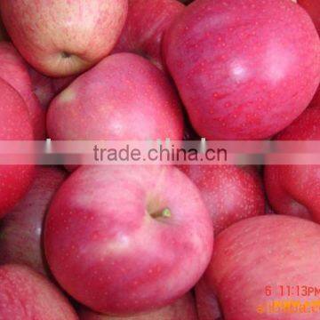 big qinguan apple