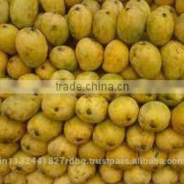Fresh Mango Exporter In India photo-3