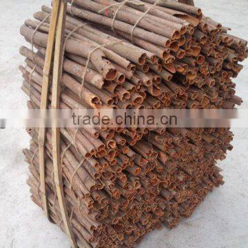 Chinese tube cassia HOT small package