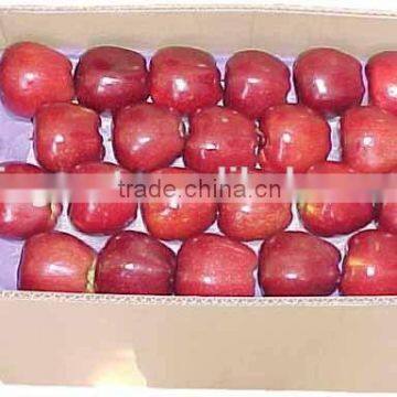 2015 new crop fresh red star apple with good quality for sale