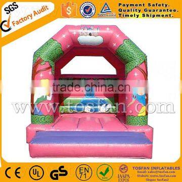 Princess Inflatable Bouncers A1131