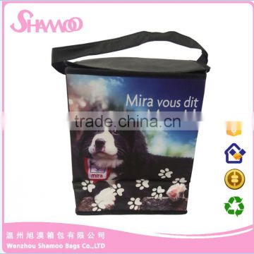 PET beer cooler plastic bag for picnic/travel /camping