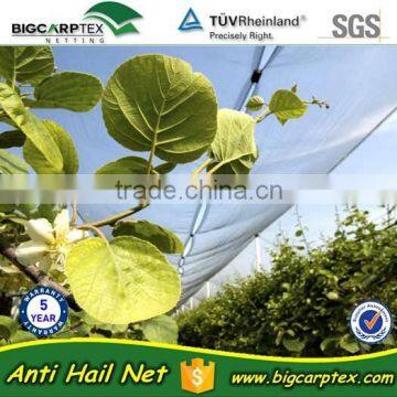 55 grm 7x2.2mm HDPE hail protection net for Strawberries