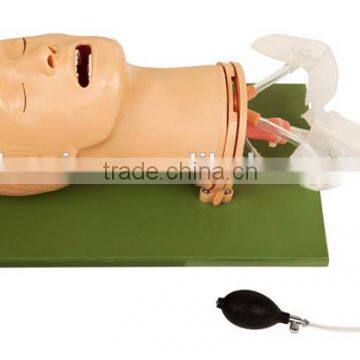 Air-way Management Model/teaching-use model/manikin/realia