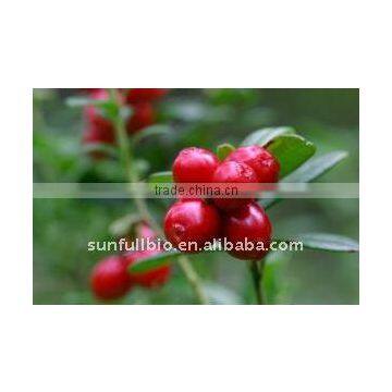 Lingonberry Concentrated Juice powder