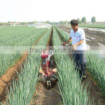 lead market machine onion bed machine for hilling furrowing in luke