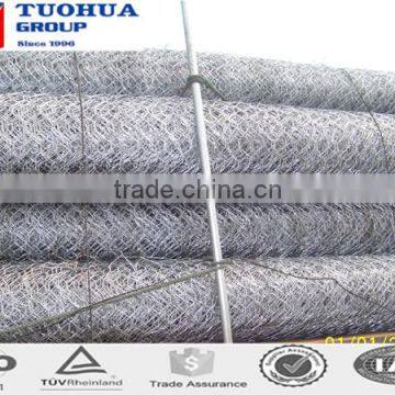 1/4 inch galvanized chicken wire mesh from china supplier