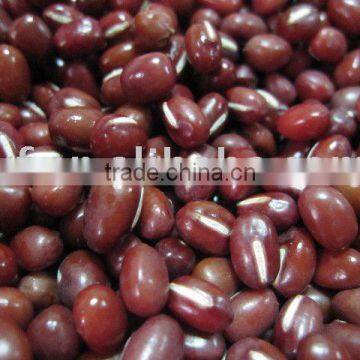 Small Red Beans new crop