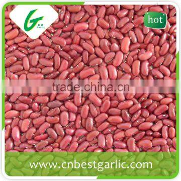 Small red kidney beans nutrition facts