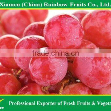 export delicious sweet fresh red globe grape red globe grape from China