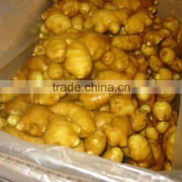 2015 new crop fresh ginger for exporting