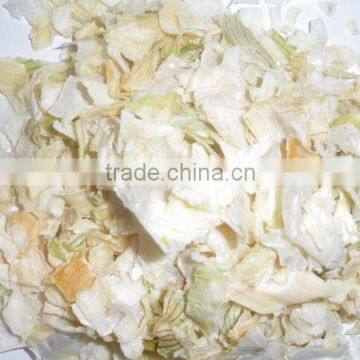 White Dried Onion Slice