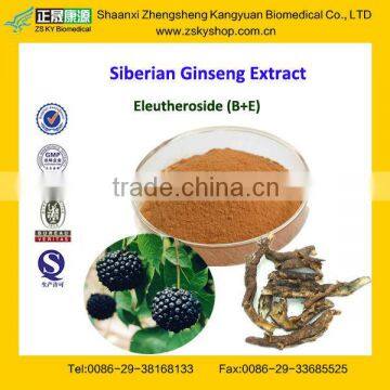 GMP Factory Supply Natural Eleutheroside B+E 0.8%