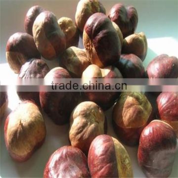 100% Natural Horse Chestnut Extract Powder with Aescigenin 30%UV from ISO,KOSHER