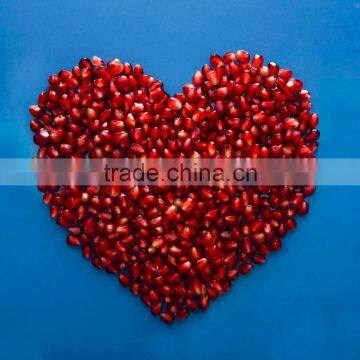 100% Natural Pomegranate Extract Powder