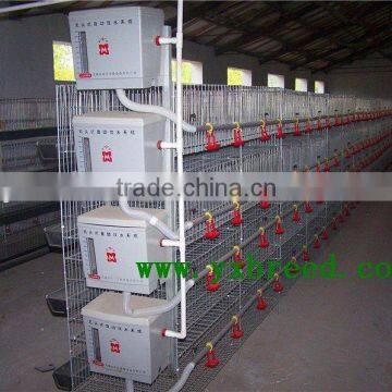 automatic battery chicken cage for broilers