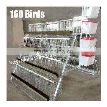 Layer Chicken Cage for Chicken Farm For Sri Lanka