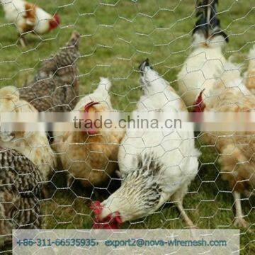 Animal wire mesh , Chicken cage made of chicken nets ( netting ) for sale