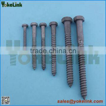 Fetter drive point Lag screw