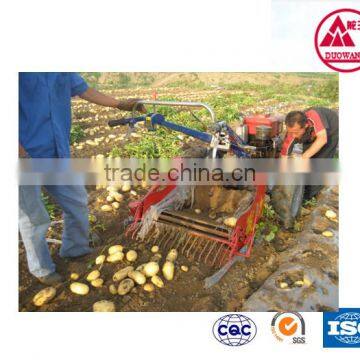 high technology Greenhouse equipment with agricultural irrigation equipment
