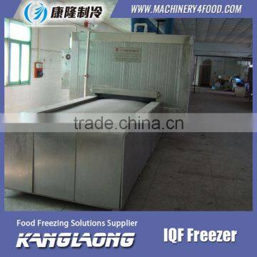 Large Output Frozen Potato Shrimp Freezer With Good Quality photo-5