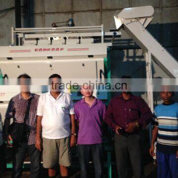 NO.1 HONS BLACK TEA COLOR SORTER IN CHINA WITH REASONABLE PRICE photo-2