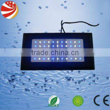 marine aquarium LED lighting