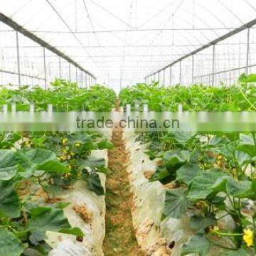 Cheap Tunnel Vegetable Greenhouse With Shading Screen photo-5