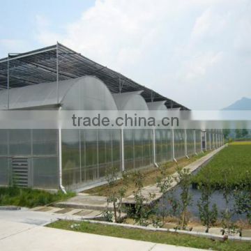 High quality commercial used plastic sheet covering greenhouse for sale