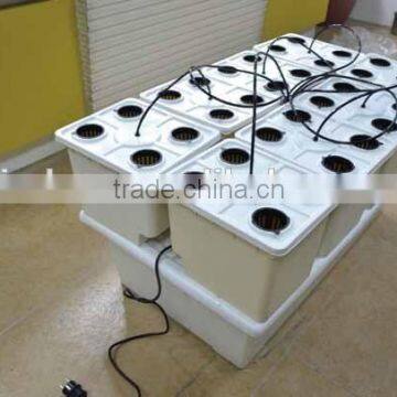 Dutch Bucket System photo-3