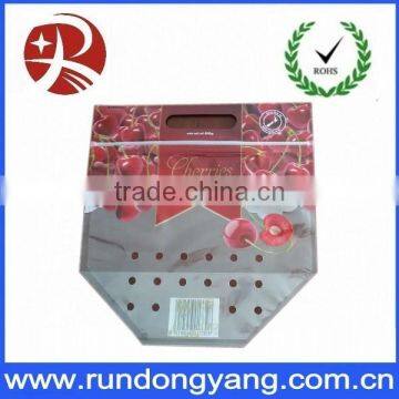Slider Zipper Fruit Packaging Bag photo-2