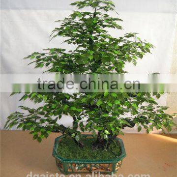 1.6 m tall artificial green banyan poinsettia bonsai flower tree plant RP002