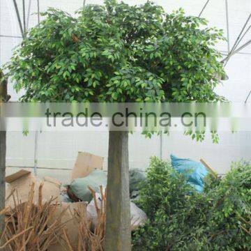 Artificial Banyan Tree Decoration High Simulation Artificial Tree photo-6