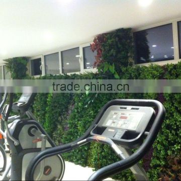 Artificial green wall for gymnasium