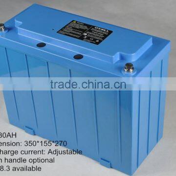 48V30AH/48V40Ah LiFePO4 battery with BMS management and Charger