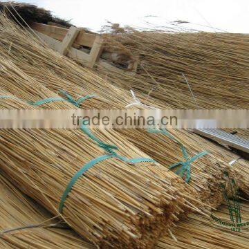 water reed thathing roof