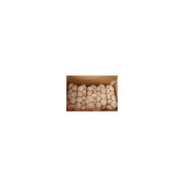 Normal White Garlic Packed in 1kg*10 in 10kg Carton