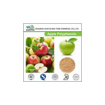 Retain Freshness And Color Protection Food Additive Apple Polyphenol For Sale