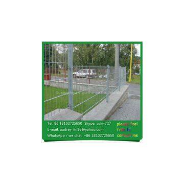 Modern Rigid Decorative Garden Fencing Twin Wire Fence for Sale photo-2